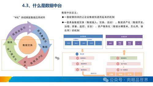 xx集团数据治理体系建设方案 