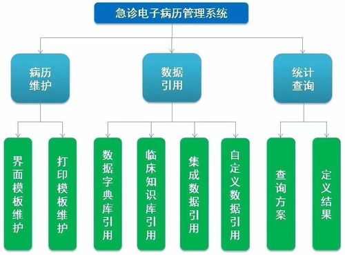 急诊电子病历管理系统设计与实现